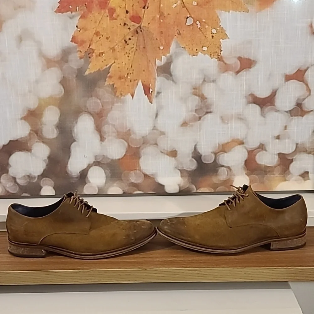 Cole Haan Carter Grandos Plain Toe Suede Chestnut Brown Derby Dress Shoes 11.5